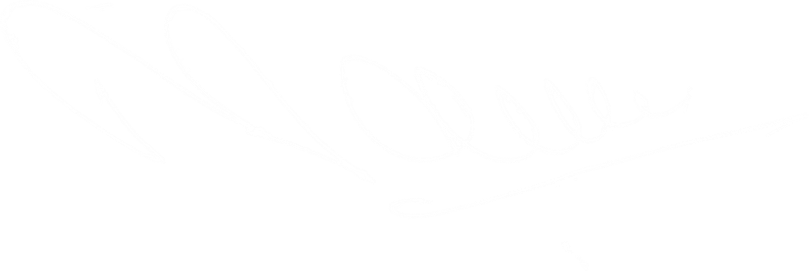 N. G. Patel signature